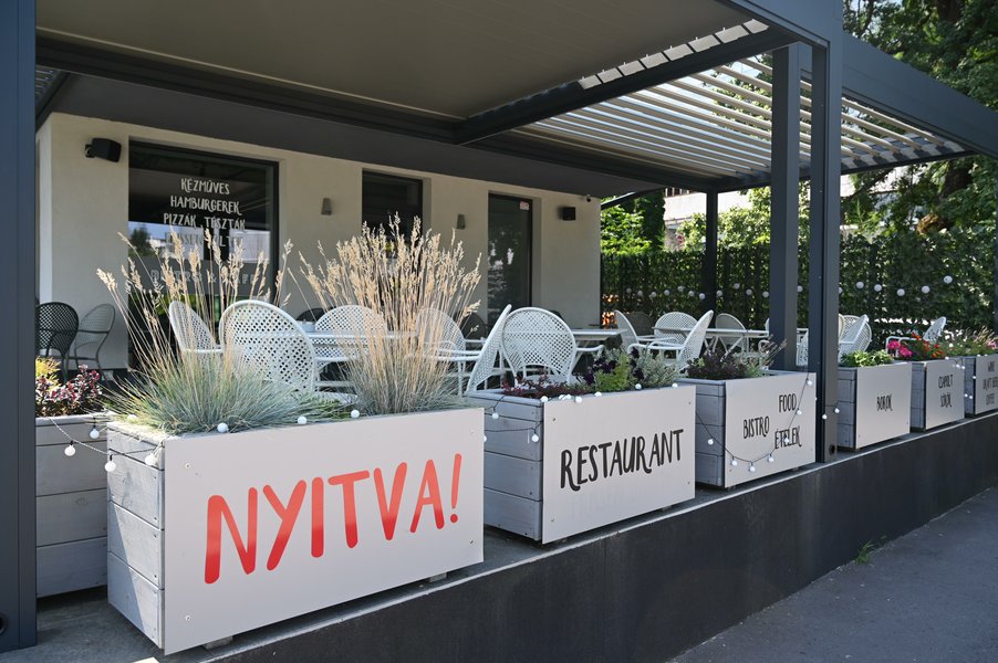 Szarvas vadas mártással